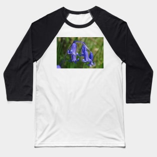 Bluebell in the shade Baseball T-Shirt